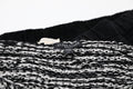 Eileen Fisher - Women's